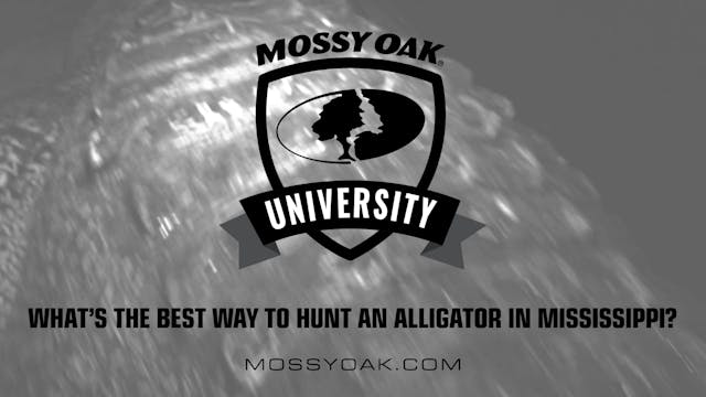 Best Way to Hunt Alligator in MS • Mo...