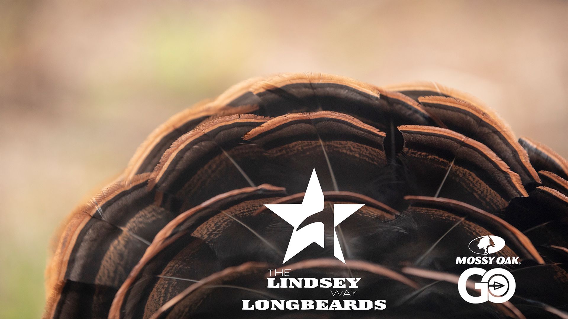 Woodbury • Lindsey Way Longbeards