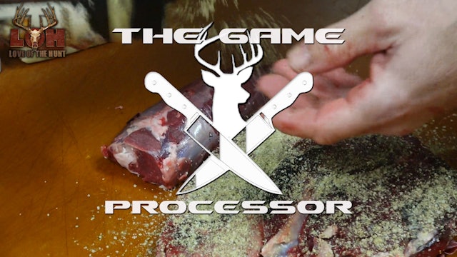 The Game Processor