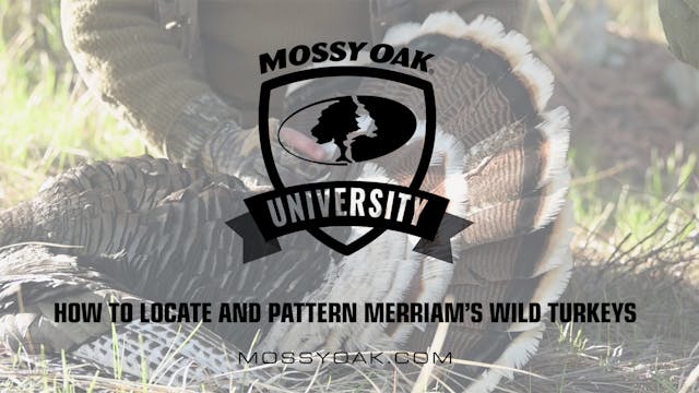 How To Locate and Pattern Merriam’s W...