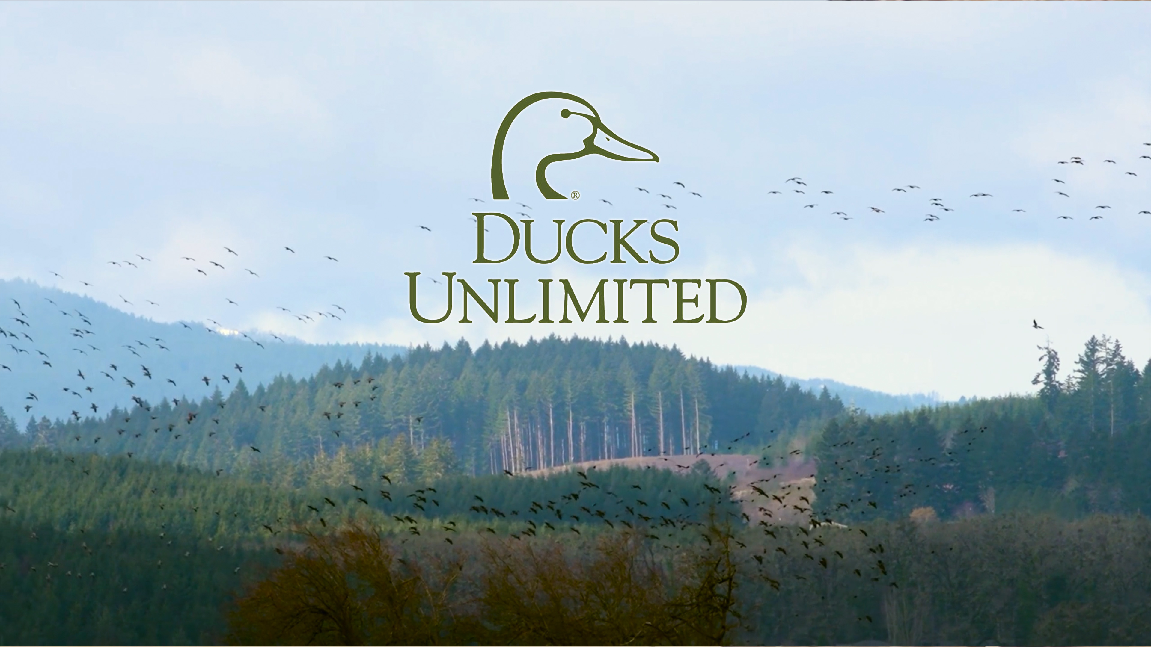 Pacific Northwest Paradise • DU TV