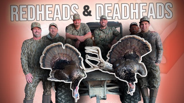 Redheads & Deadheads | Mark Talks Thr...