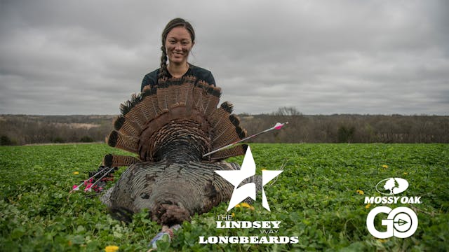 Bow or Nothing • Lindsey Way Longbeards
