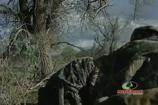 Southern Fried Turkey • Hunting Gobblers in the Deep South