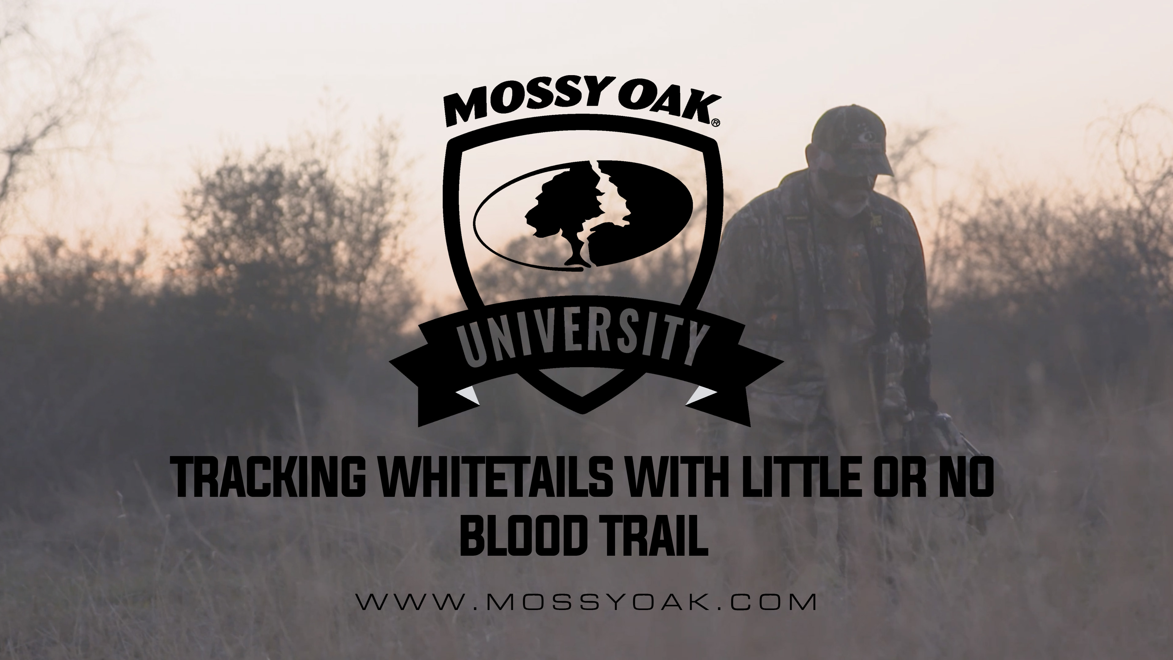 Tracking Whitetails with Little or No Blood Trail