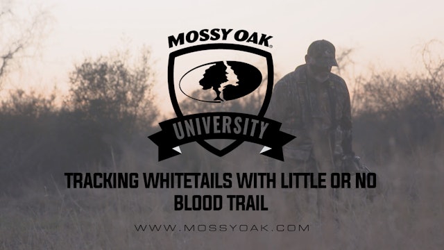 Tracking Whitetails with Little or No Blood Trail