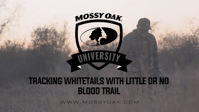 Tracking Whitetails with Little or No...