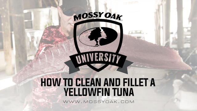 How To Clean and Fillet a Yellowfin Tuna