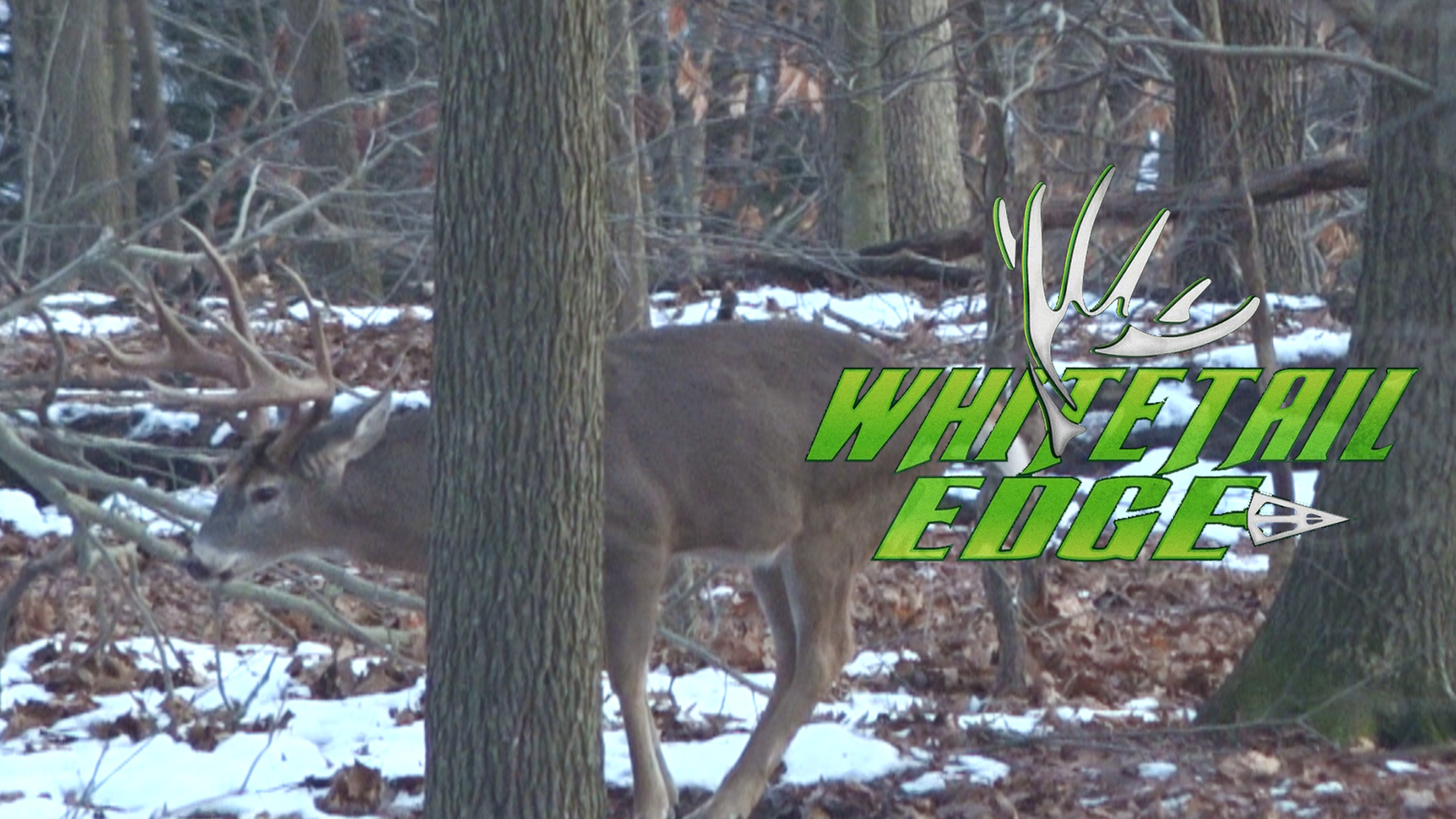 Reaper • Whitetail Edge