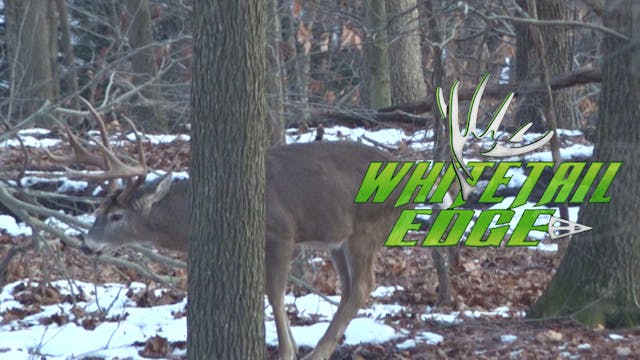 Reaper • Whitetail Edge