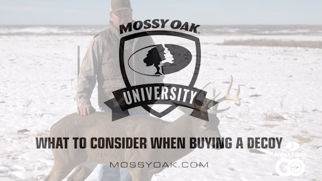 What to Consider When Buying a Decoy • Mossy Oak University