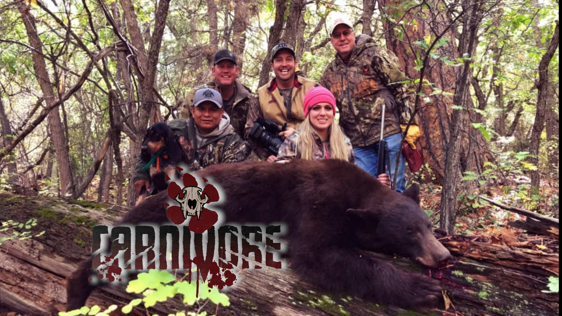 Arizona Bears • Carnivore