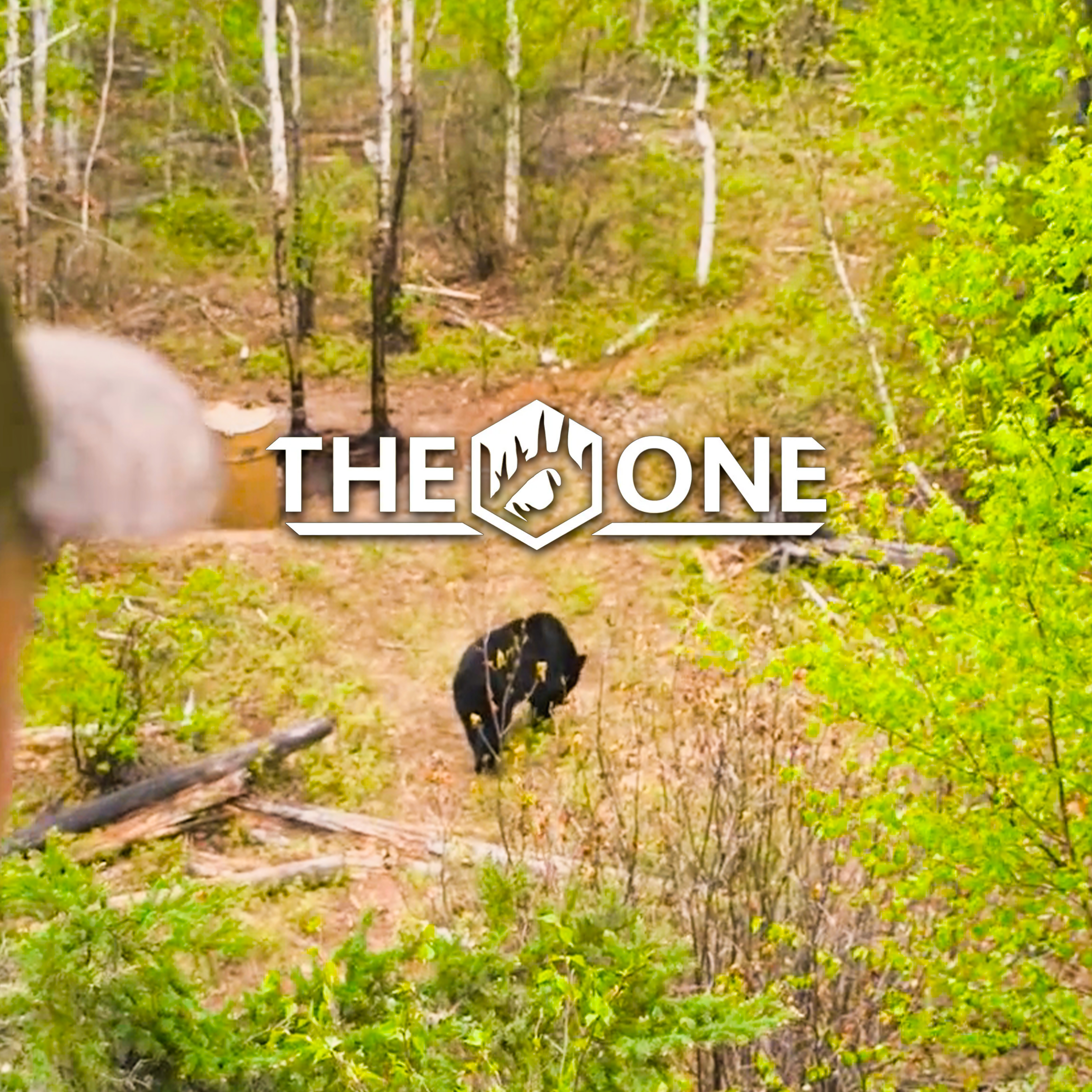 Sask Adrenaline Bear pt1 • The One