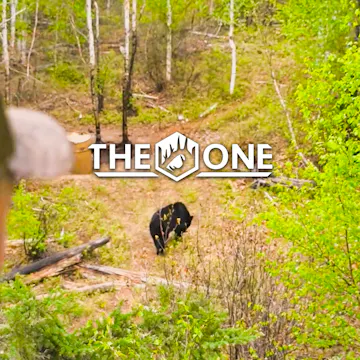 Sask Adrenaline Bear pt1 • The One
