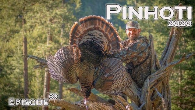 Pinhoti 2020 Ep 30 • Pinhoti Project