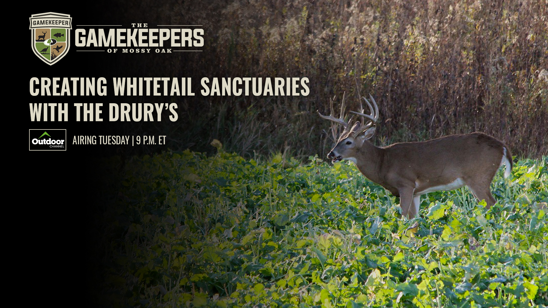 Creating Whitetail Sanctuaries with the Drury’s • Gamekeepers