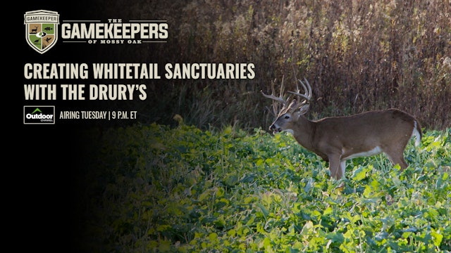 Creating Whitetail Sanctuaries with the Drury’s • Gamekeepers