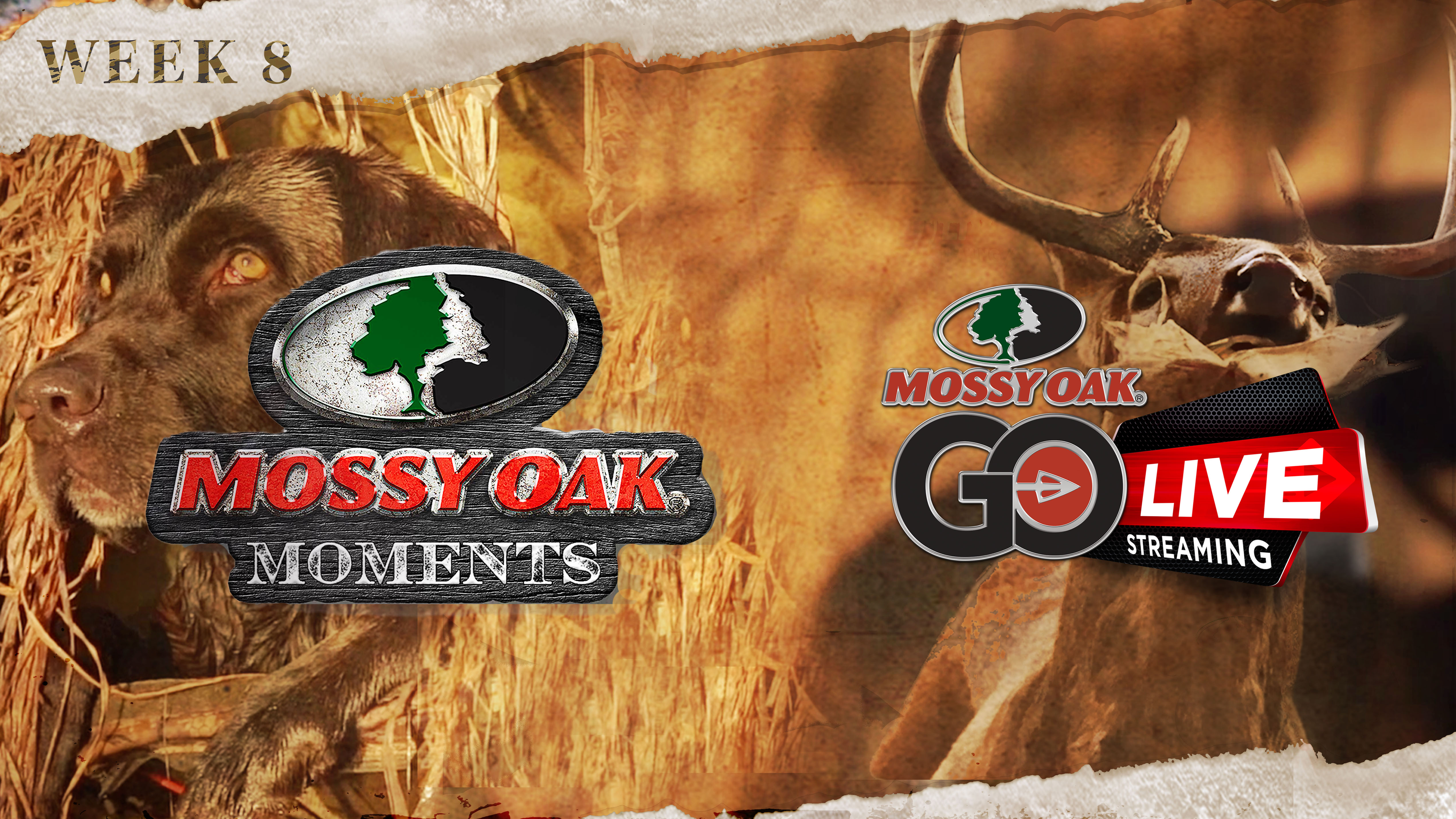Live: 12.8.2021 Mossy Oak Moments Replay