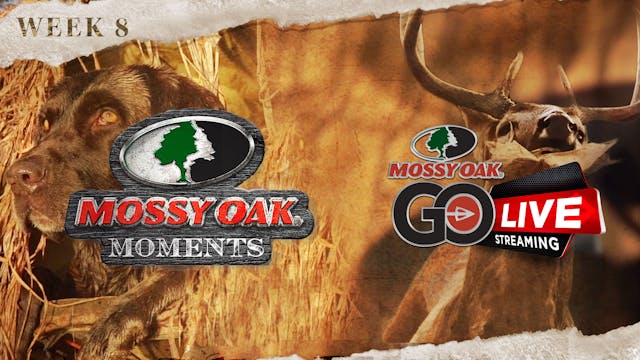 Live: 12.8.2021 Mossy Oak Moments Replay