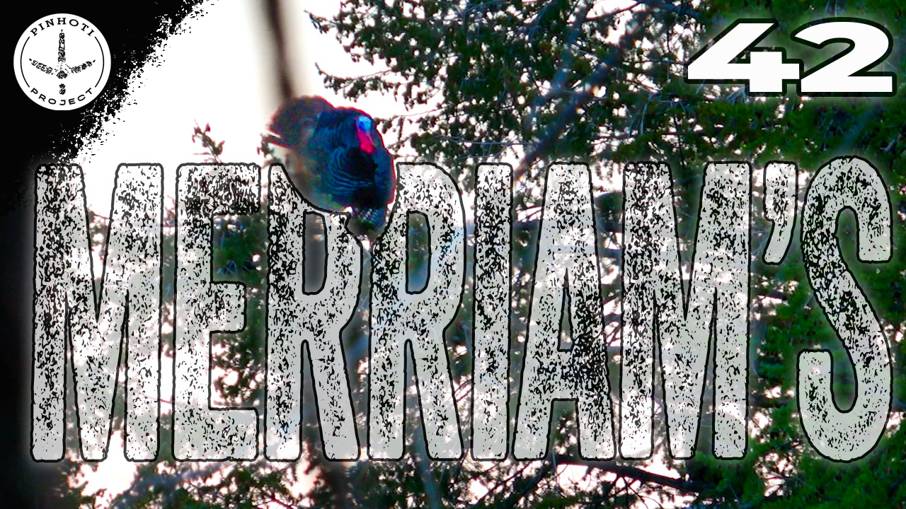 Pinhoti 2025 Ep 42 • Pinhoti Project