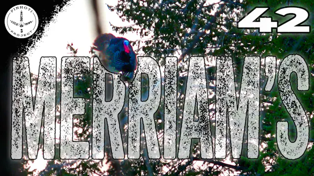 Pinhoti 2025 Ep 42 • Pinhoti Project