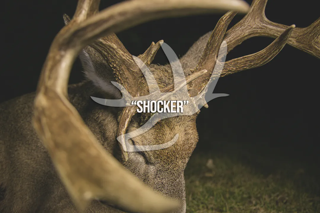 Shocker • Heartland Bowhunter • Behind the Draw - Season 1 - Mossy Oak GO