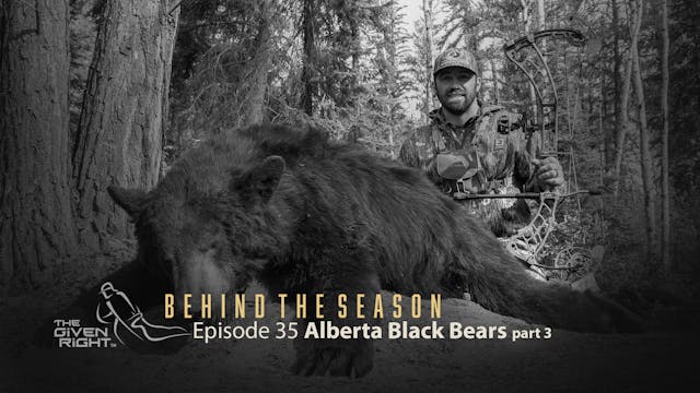 Alberta Black Bears part 3 • Behind t...