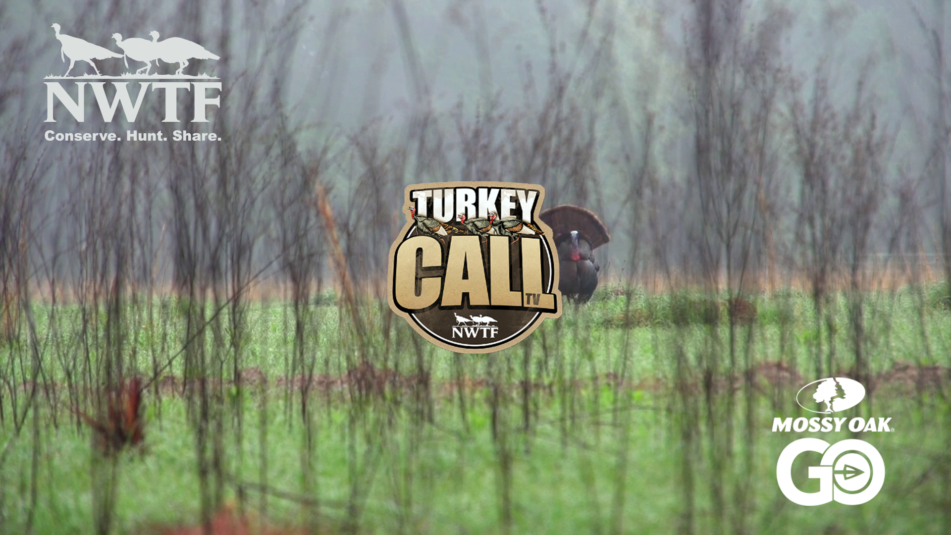 Louisiana Saturday Night • NWTF