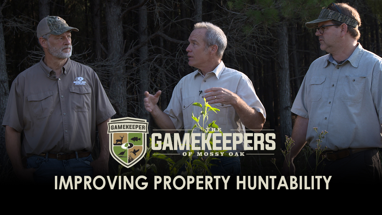 Improving Property Huntability • Gamekeepers
