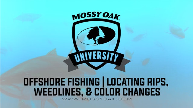 Offshore Fishing • Locating and Fishing Rips, Weedlines and Color Changes