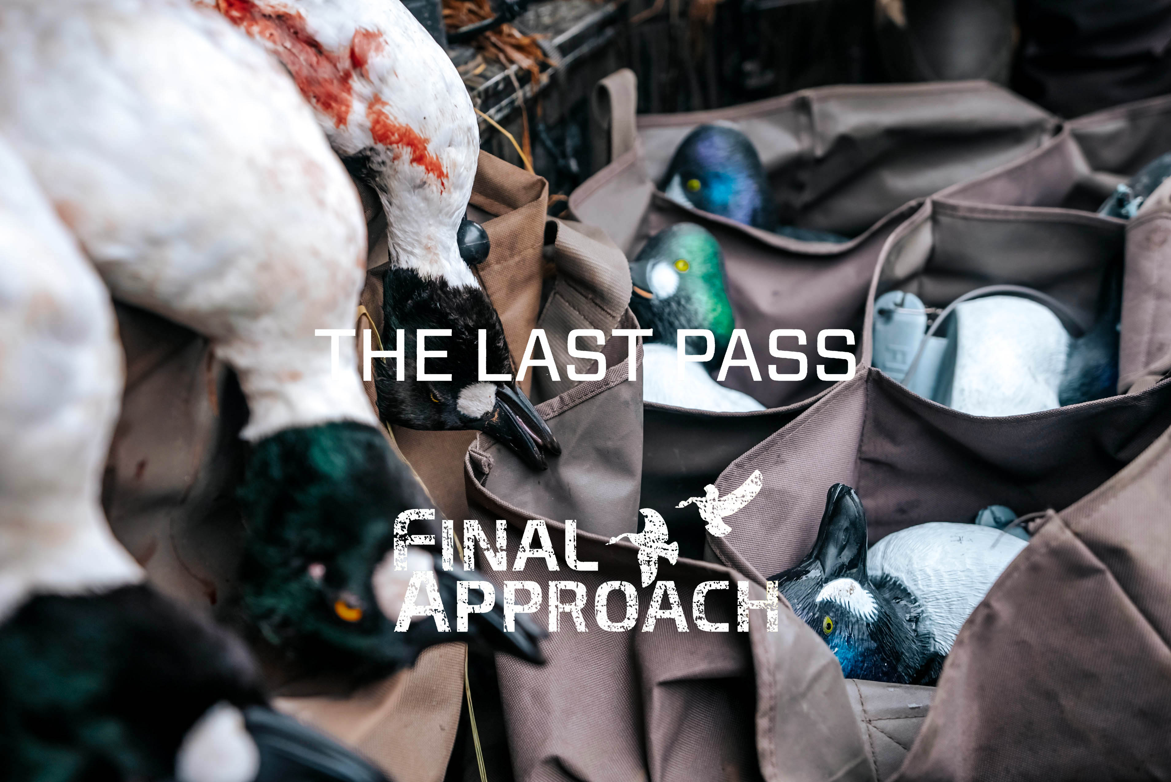 Last Pass Episode 15 • A Dead Boat Battery For Yellow Eyes On The Bay
