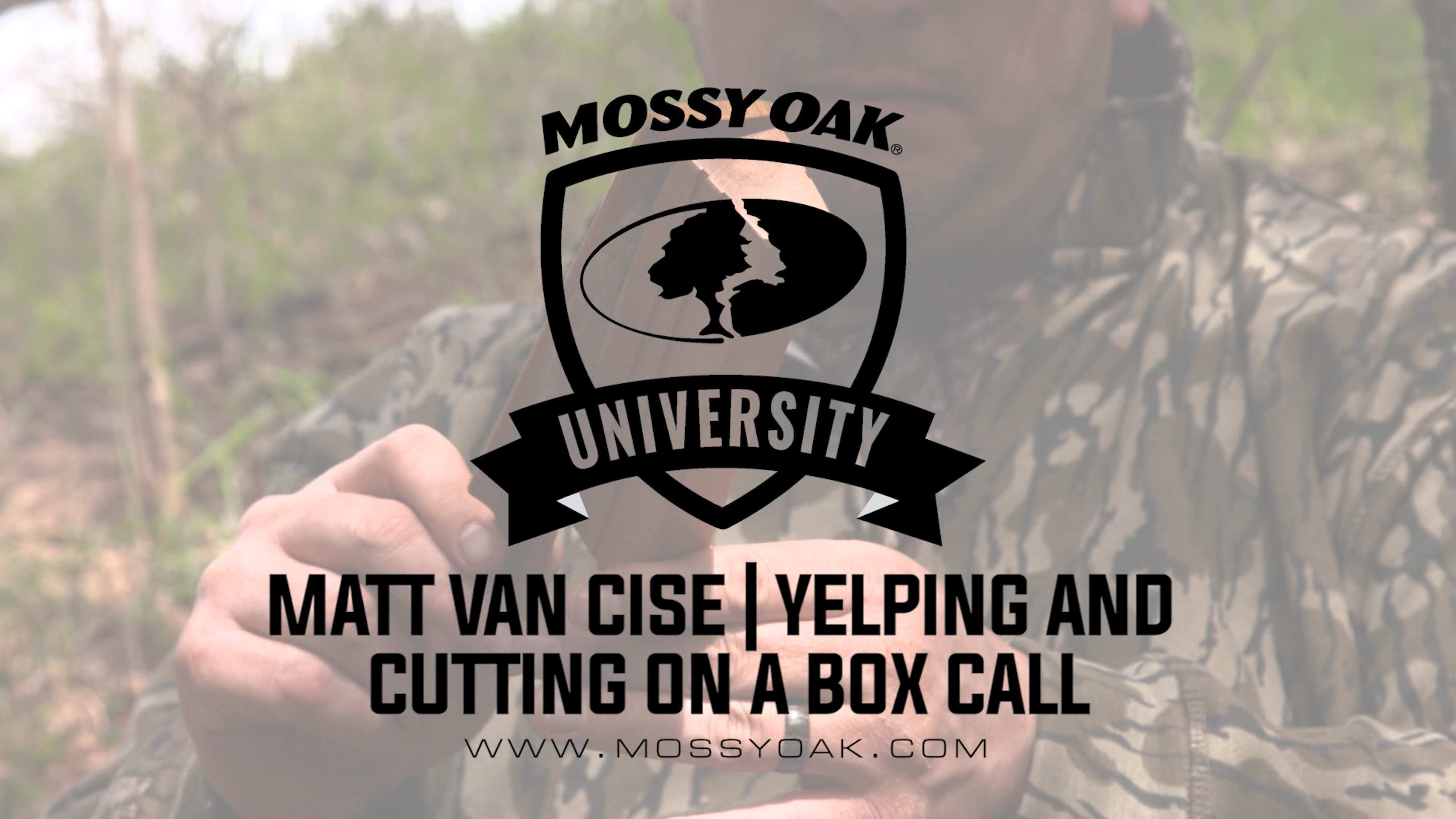 Excited Yelping and Cutting on a Box Call - Matt Van Cise