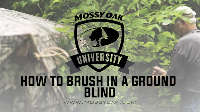 How to Brush In a Ground Blind