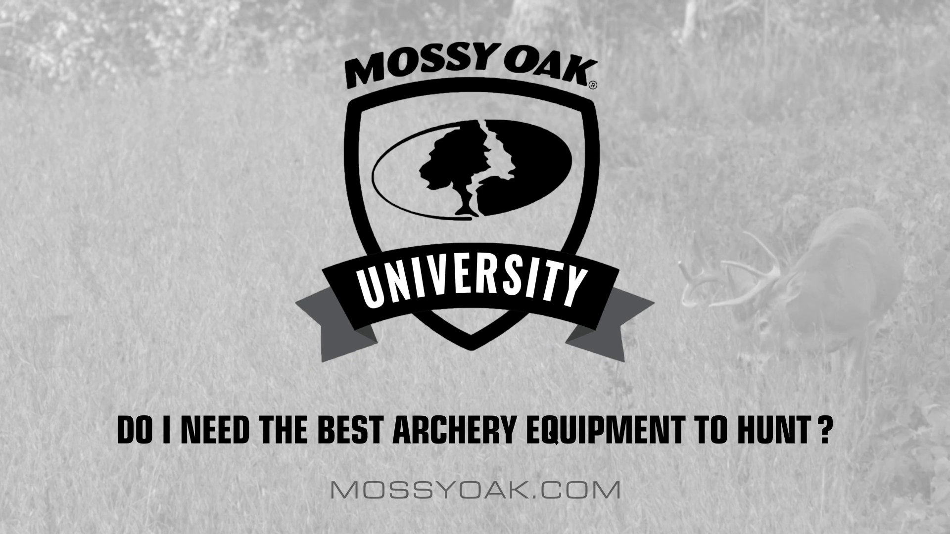 Do I Need the Best Archery Equipment • Mossy Oak University