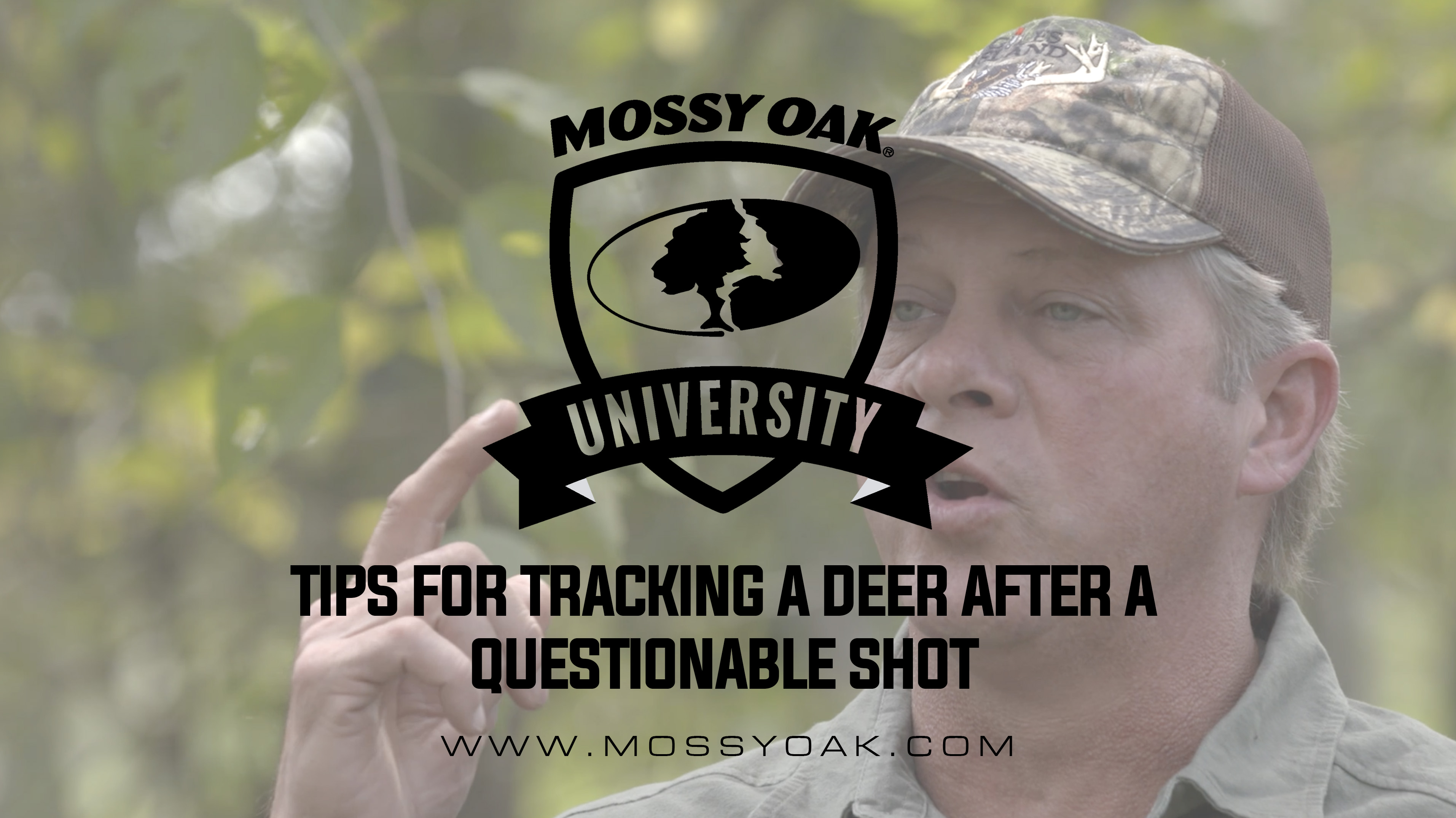 How Long Should You Wait to Track a Deer After a Questionable Shot