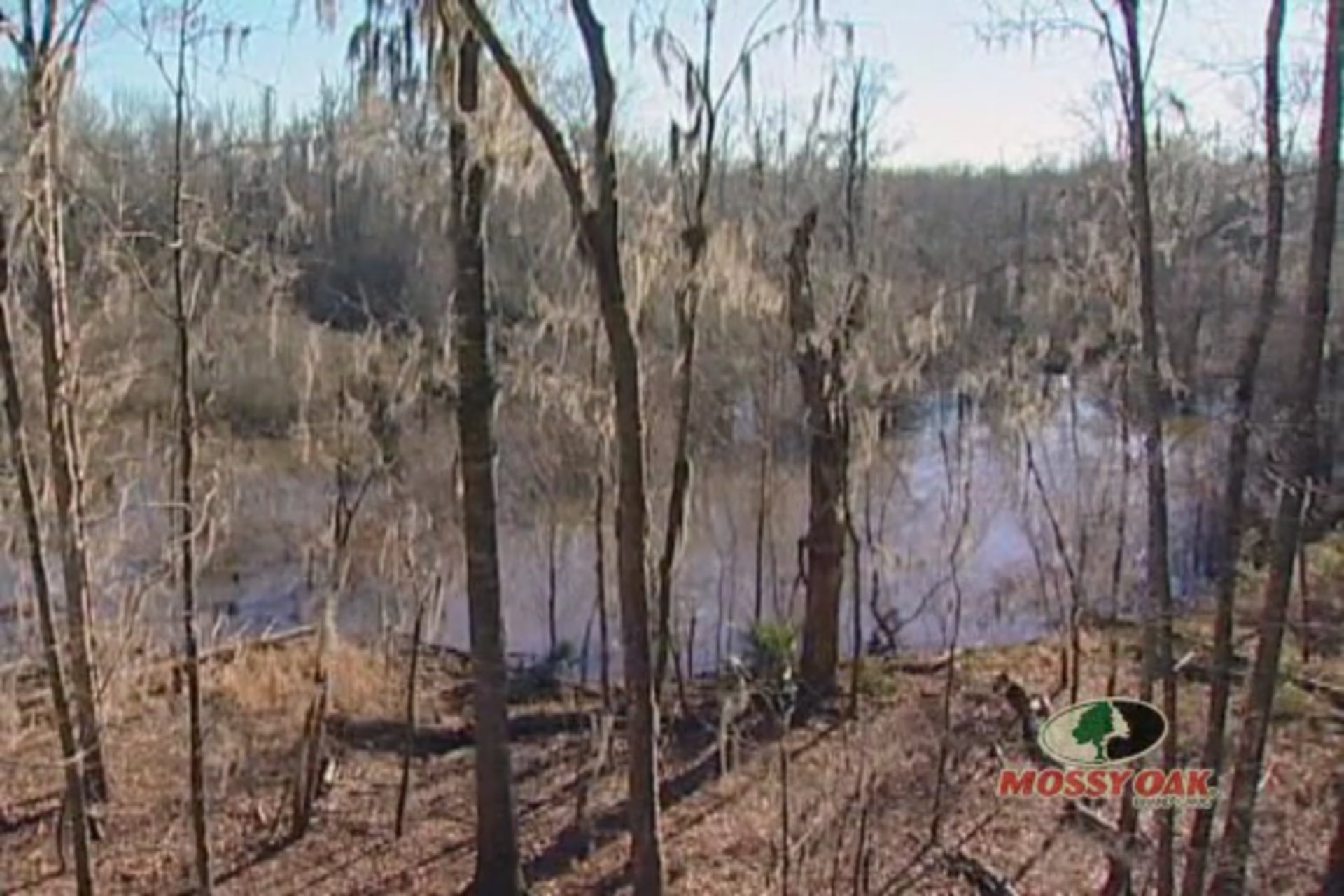 Mississippi River Legendary Whitetail • Big Bucks on Giles Island