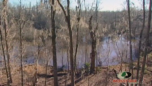 Mississippi River Legendary Whitetail • Big Bucks on Giles Island