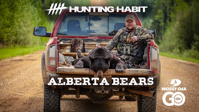 Hunting Habit · Alberta Bears