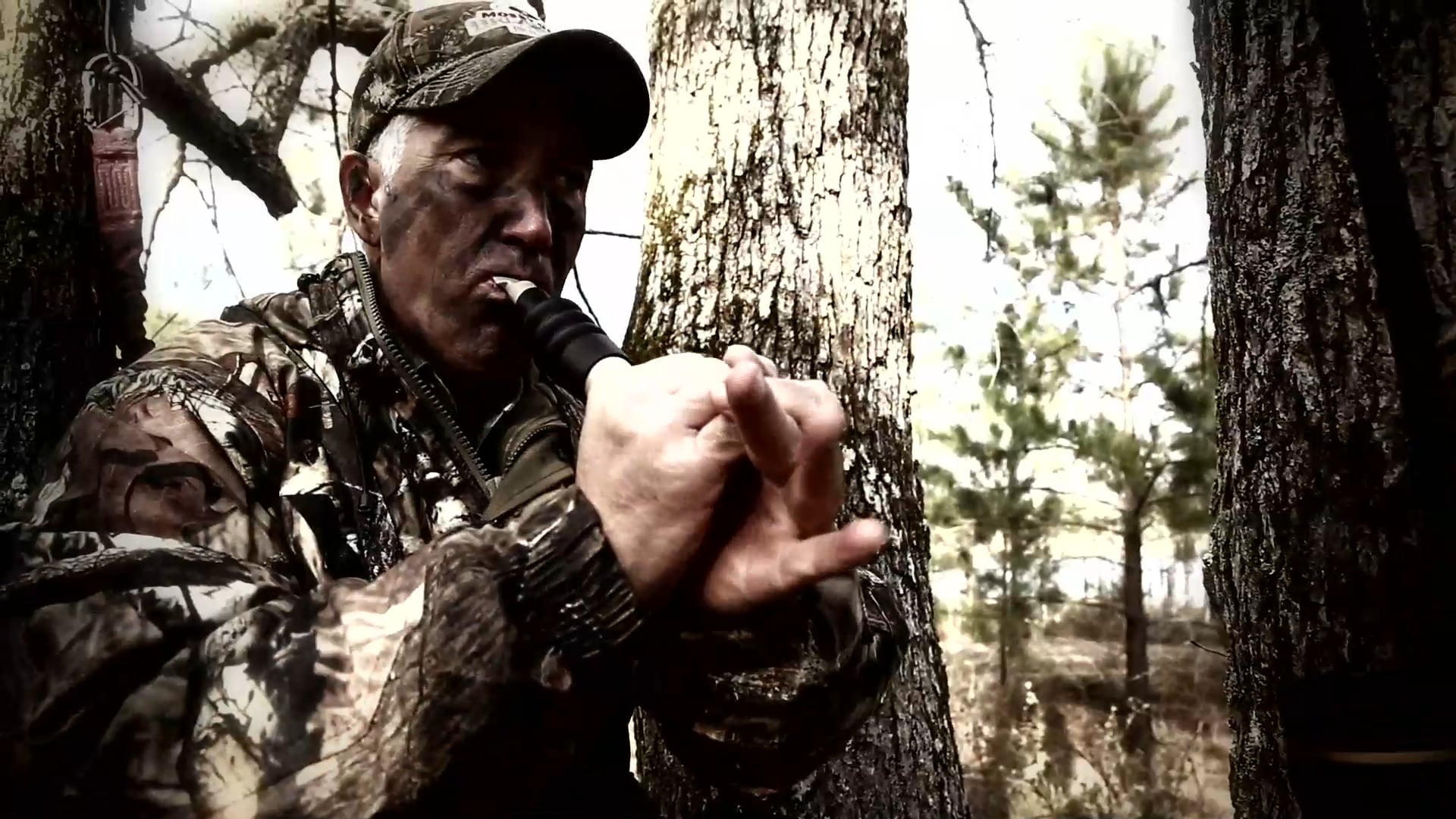 A New Season • The Excitement of Opening Day