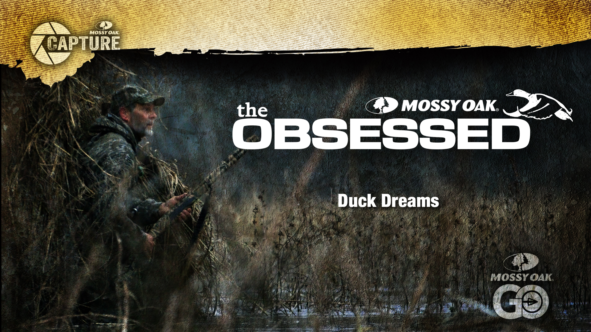 Duck Dreams • Toxey Haas