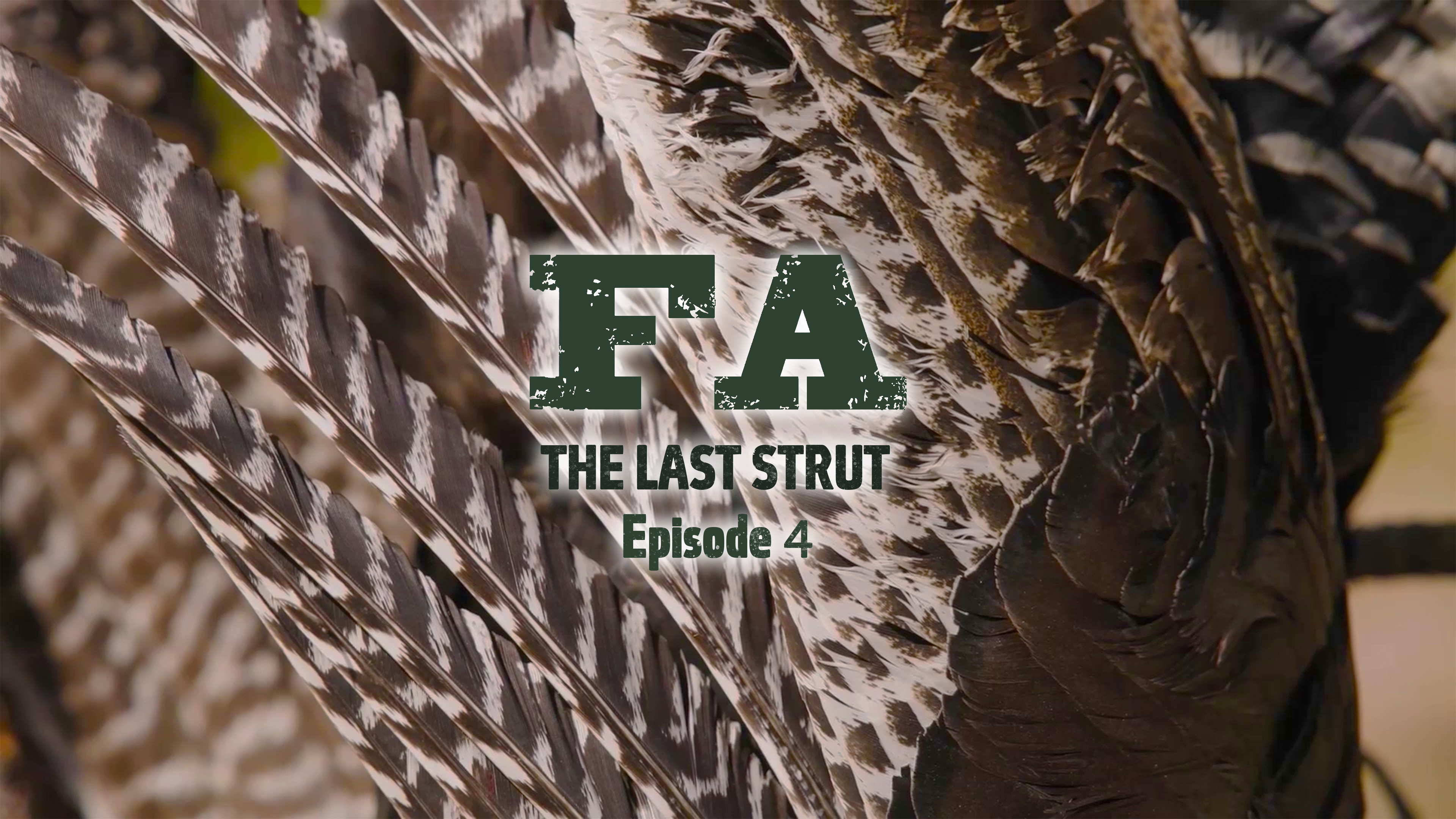 The Last Strut Episode 4 • 16.5 Miles For Mr. Thick Beard