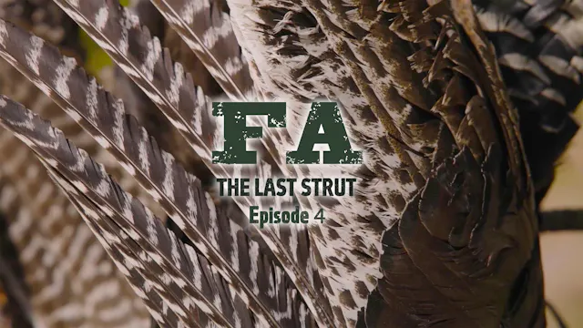 The Last Strut Episode 4 • 16.5 Miles...
