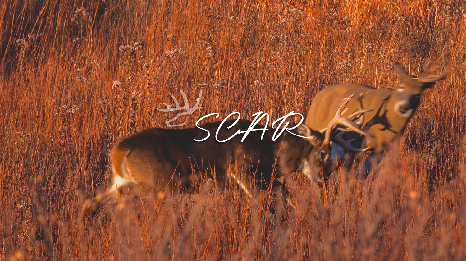Scar • Heartland Bowhunter • Behind the Draw