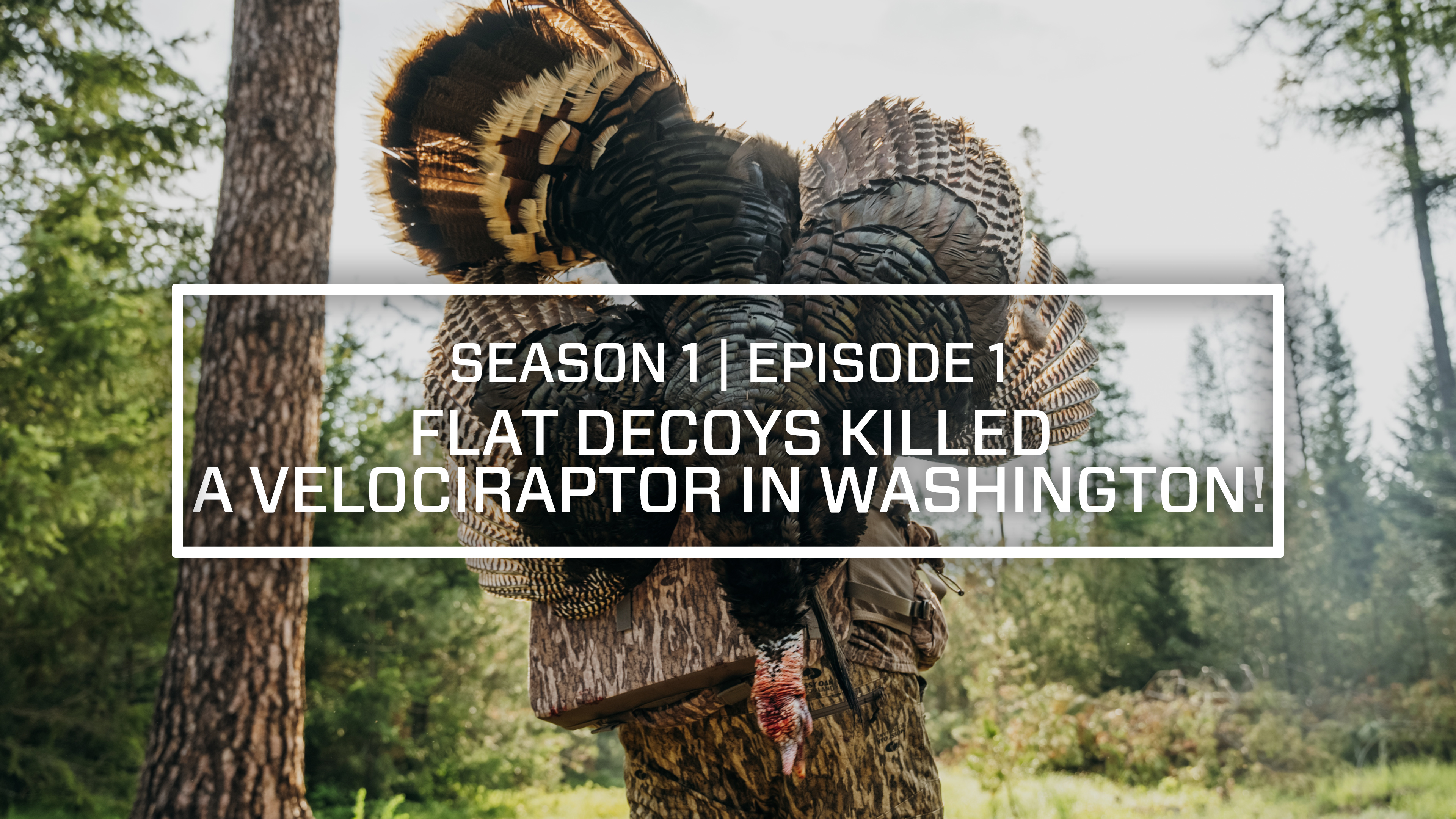 The Last Strut Episode 1 • Flat Decoys Killed A Velociraptor In Washington!