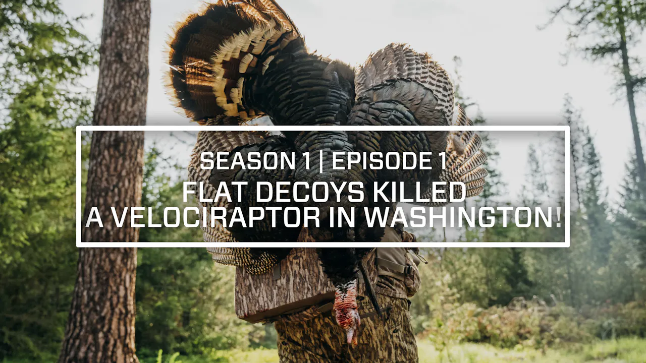 Washington Riding Raptor The Last Strut Episode 1 • Flat Decoys Killed A Velociraptor In ...