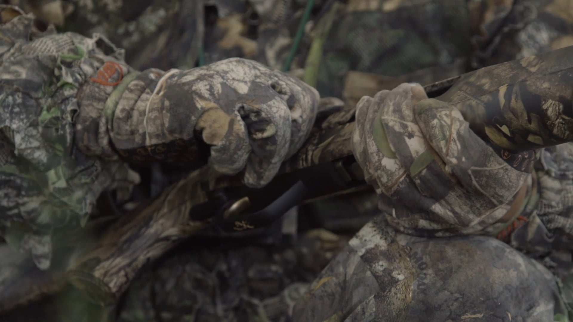 The Roost • Avian X