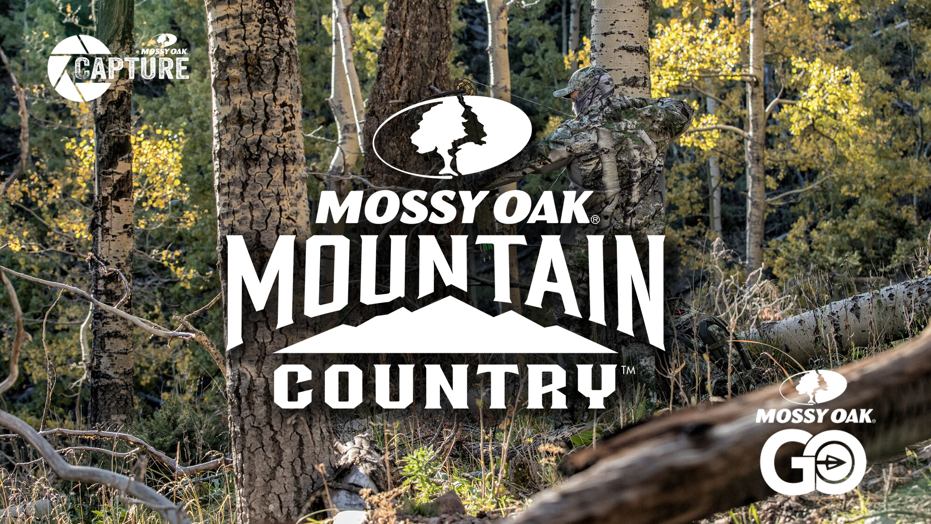 Mountain Country Elk  • Short Film