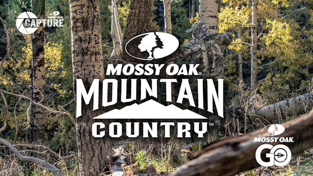 Mountain Country Elk  • Short Film