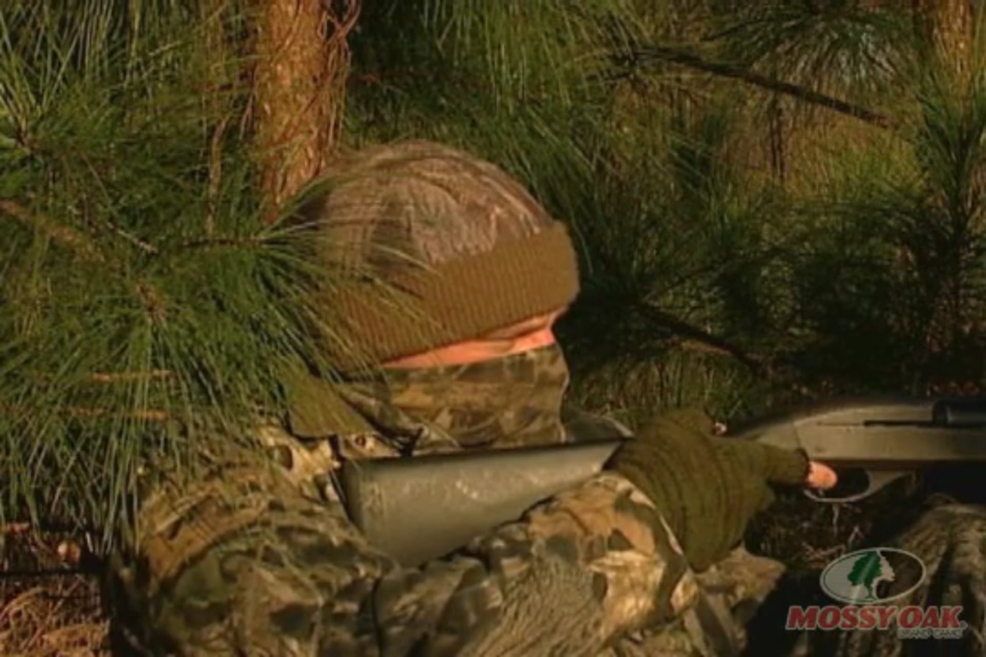 Turkeys in the Pines