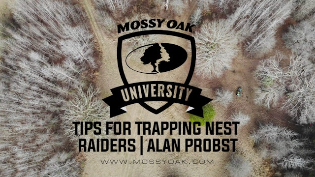 Tips for Trapping Nest Raiders with Alan Probst